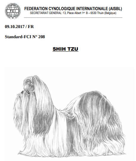 Shih Tzu standard fci